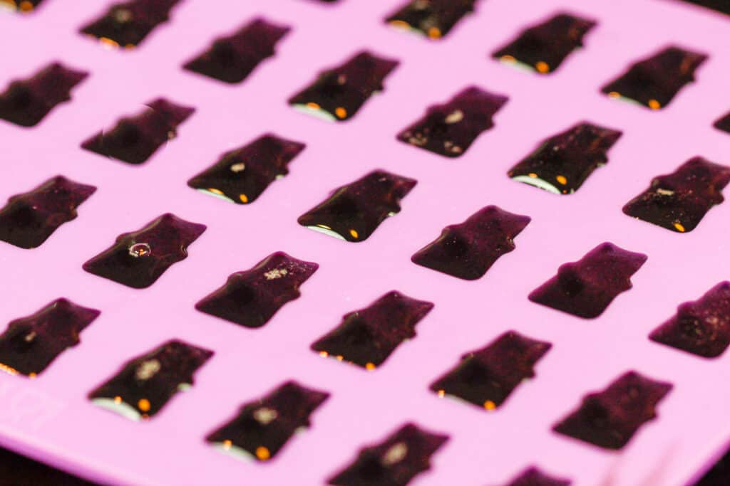 橡皮糖熊模的形象充满果汁和蜂蜜制成的健康橡皮糖熊混合物