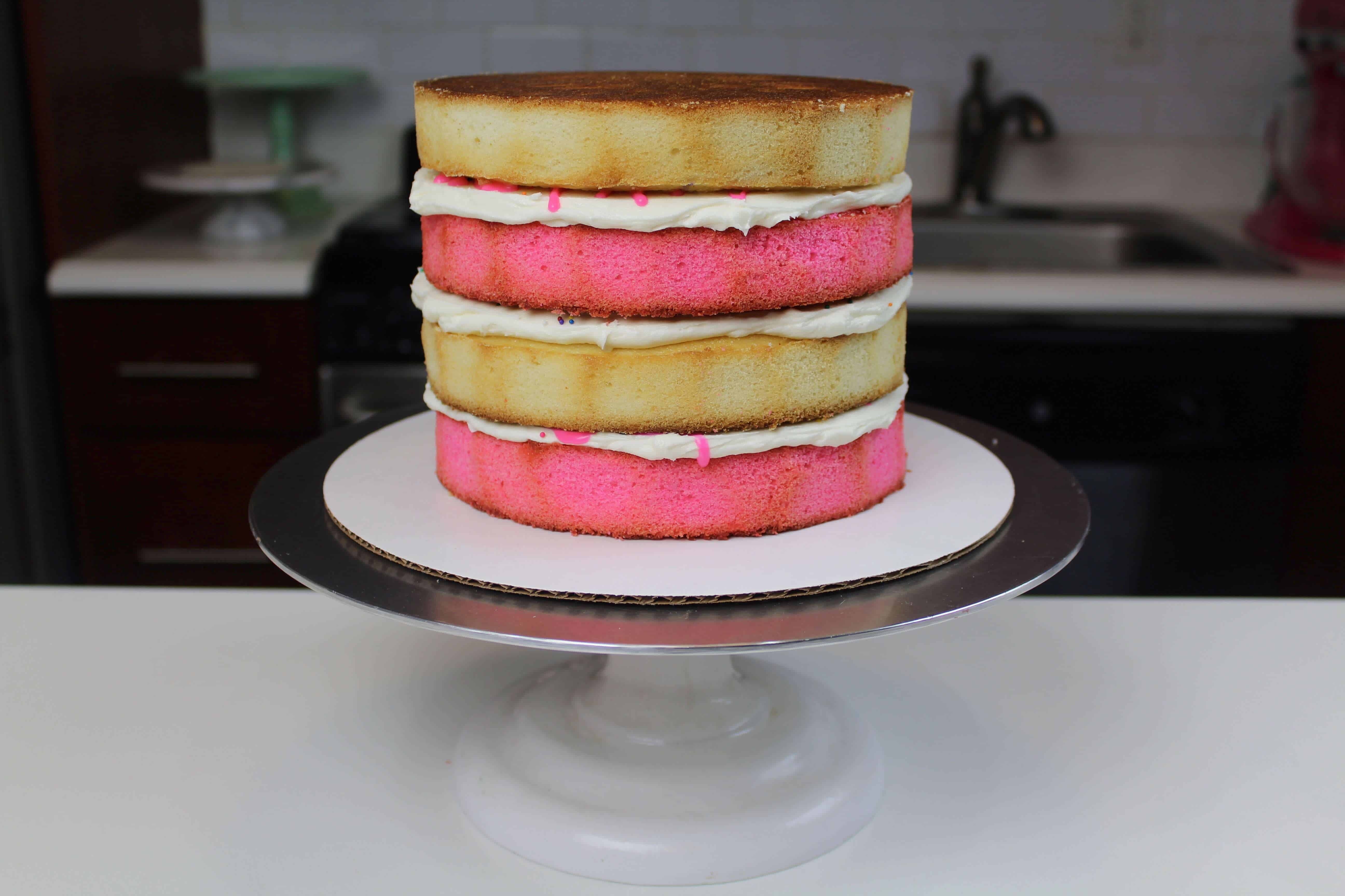 马戏团的动物cake layers stacked