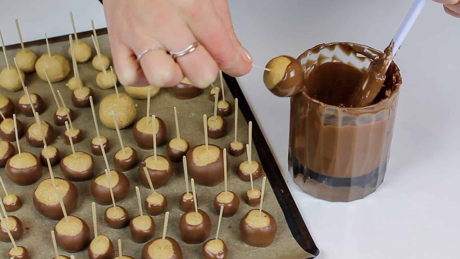 巧克力滴在七叶树上