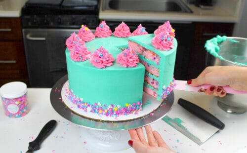 五颜六色的funfetti蛋糕，装饰用小野鸭和桃红色乳酪和五颜六色洒