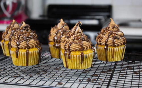 巧克力糖霜南瓜蛋糕图片