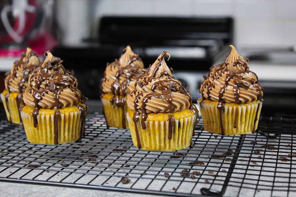 结霜的巧克力片南瓜杯形蛋糕的图象