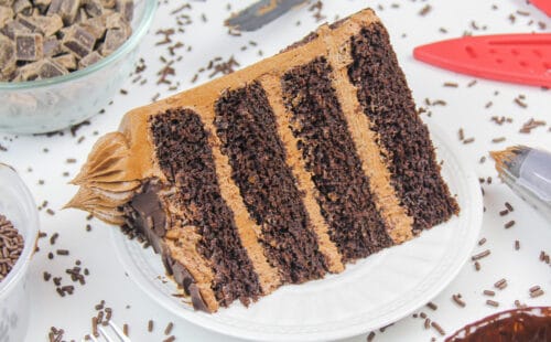 潮湿的和美味的无麸质的巧克力蛋糕的巧克力奶油的切片的图像