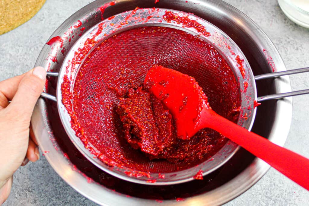 覆盆子果滤后剩余种子的图像