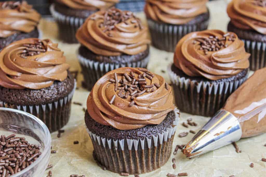 image of chocolate cupcakes frosted with chocolate russian buttercream