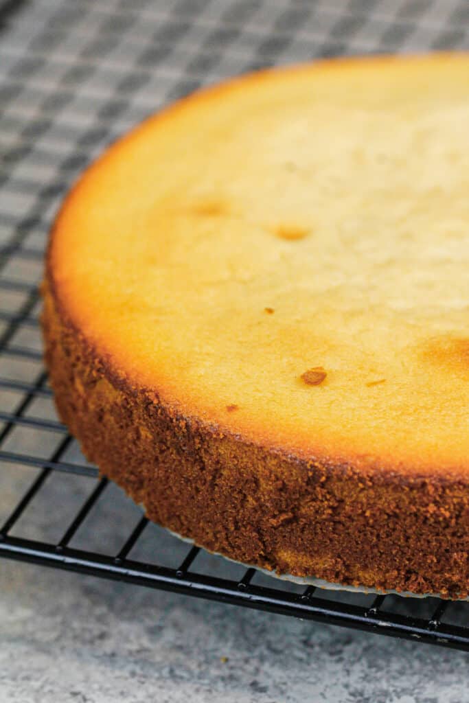 被烘烤的蛋糕层数的图象与棕色边缘的