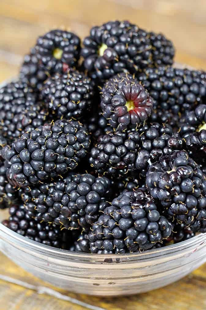 新鲜的黑莓的图象在碗的