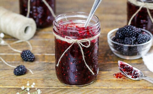 被吃掉的黑莓果酱冷冻的形象，已成立，并准备