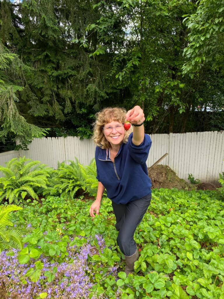 我妈妈摘草莓做certo草莓冻果酱的画面