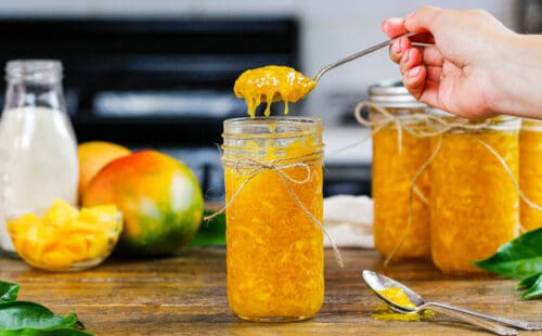 芒果果酱冰箱正在像一舀玻璃瓶的出