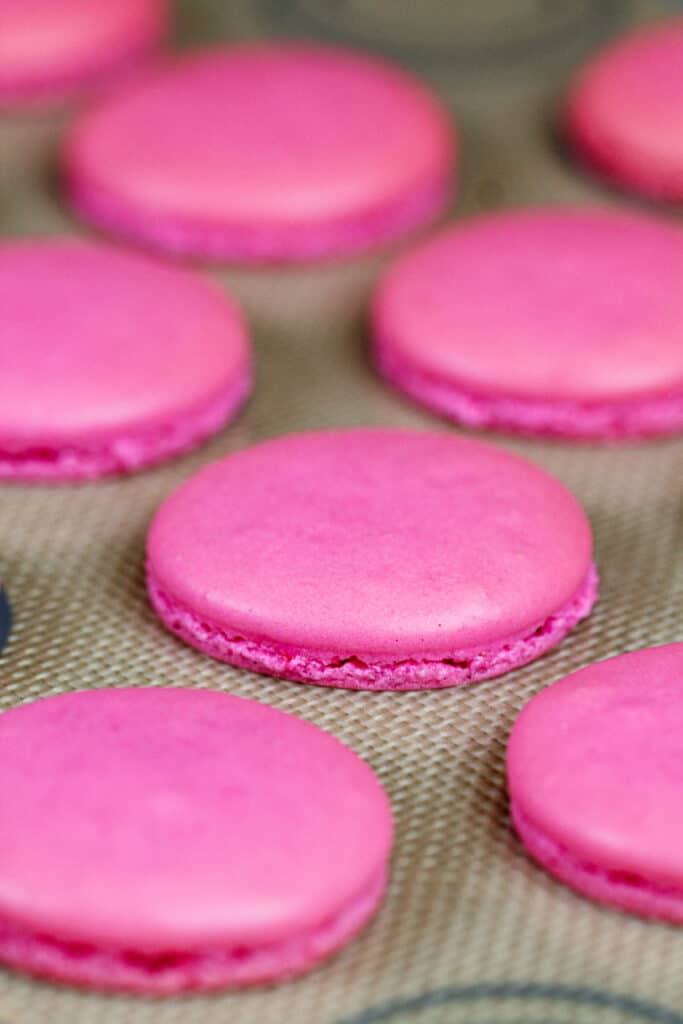 法国的形象未曾外壳烤silpat硅胶垫和冷却