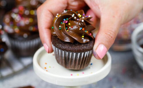 被放置在迷你蛋糕立场的微型巧克力杯形蛋糕的图象