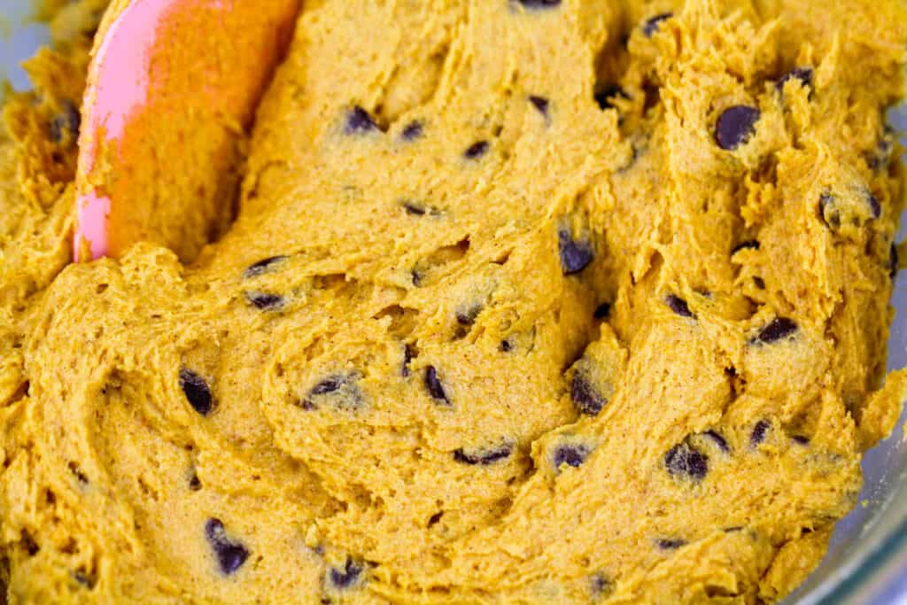 素食主义者巧克力片南瓜曲奇饼面团的图象