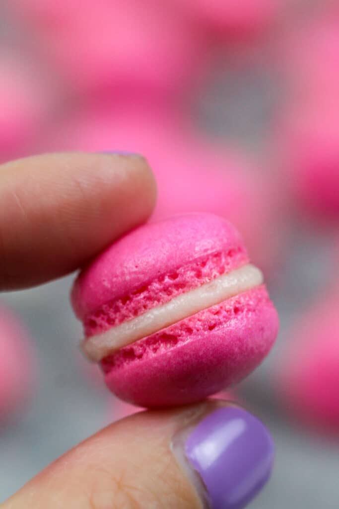 一个迷你的形象未曾充满奶油乳酪