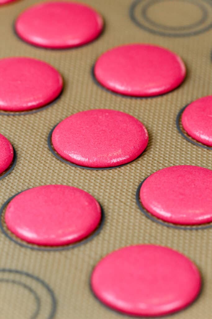 粉红色的马卡龙贝壳的图像，已经休息并形成了皮肤，现在准备烘烤