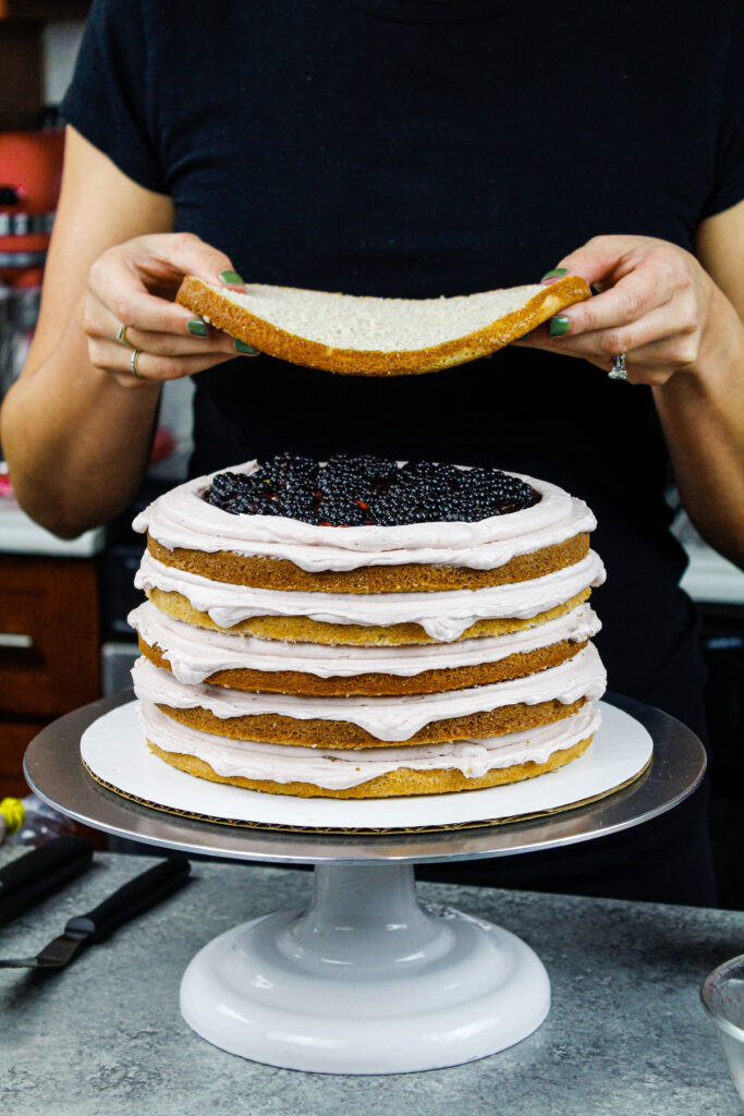 被组装的黑莓层蛋糕的图象组装与桂香蛋糕层数，黑莓果酱，新鲜的黑莓和黑莓桃子乳酪