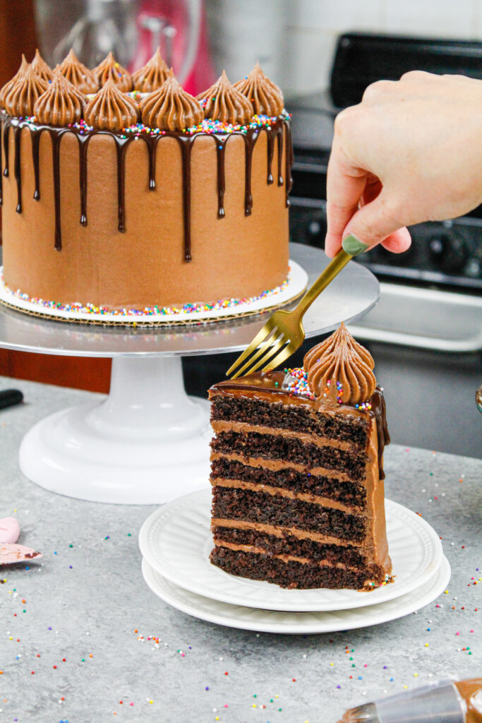 用湿巧克力蛋糕层和巧克力乳酪制成的巧克力滴注蛋糕的图象
