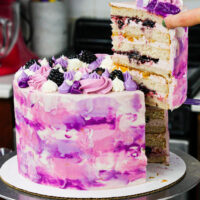 黑莓桃蛋糕的形象