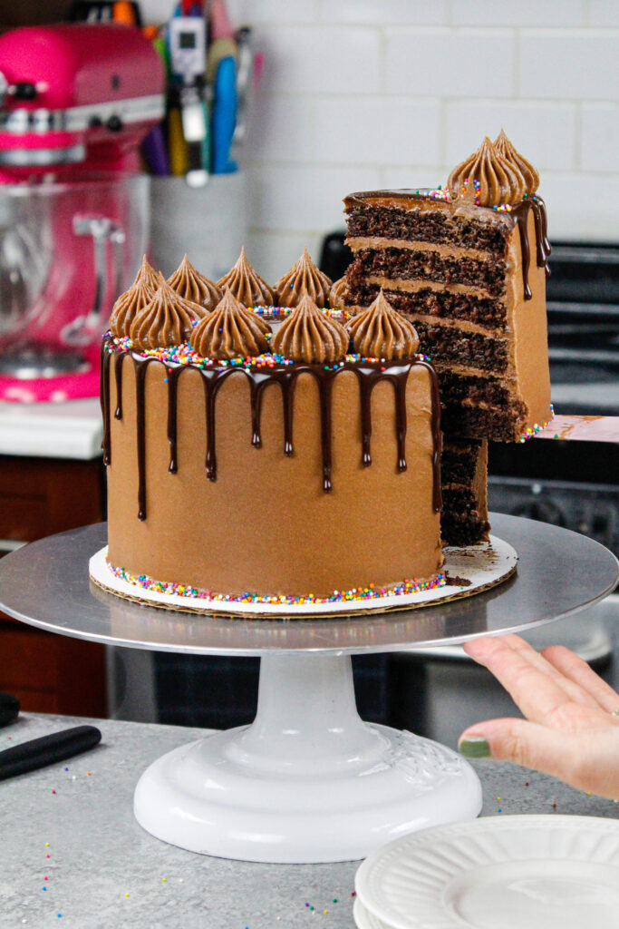 这是一个巧克力滴油蛋糕的图像，它被切成薄片，显示它有六层