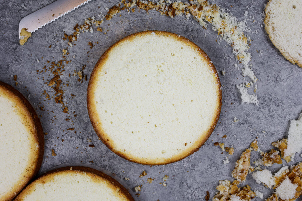 蓬松的柔软椰子蛋糕层的形象