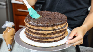 巧克力简单的糖浆，巧克力糖浆为蛋糕，巧克力糖浆蛋糕顶部，如何制作干巧克力蛋糕湿润，如何制作巧克力糖浆，巧克力蛋糕浸泡，如何制作巧克力蛋糕湿润，巧克力糖浆蛋糕，巧克力糖浆蛋糕，巧克力简单的糖浆蛋糕