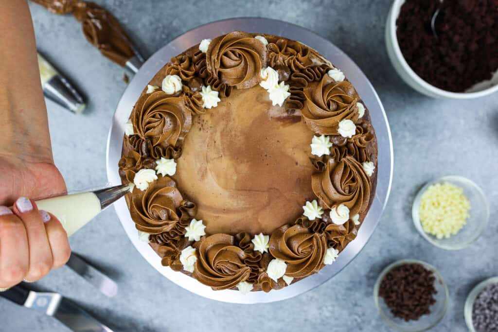 形象的三重巧克力蛋糕片装满牛奶的巧克力奶油乳酪和黑巧克力酱