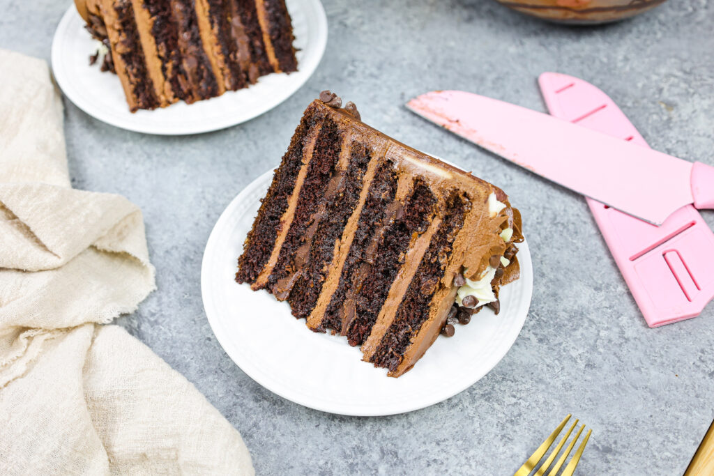 形象的三重巧克力蛋糕片装满牛奶的巧克力奶油乳酪和黑巧克力酱