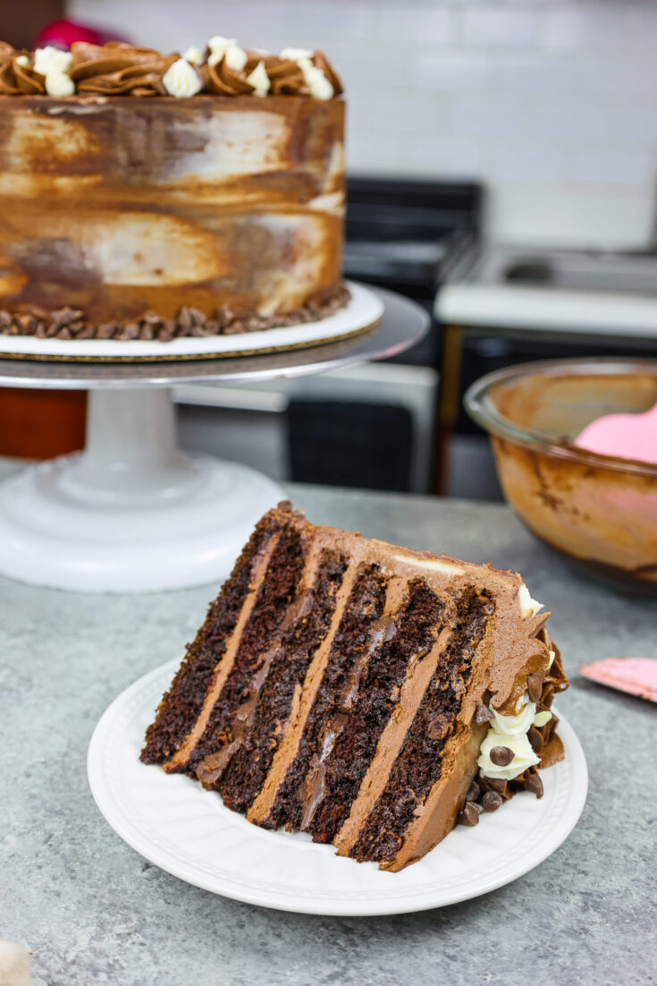 形象的三重巧克力蛋糕片装满牛奶的巧克力奶油乳酪和黑巧克力酱