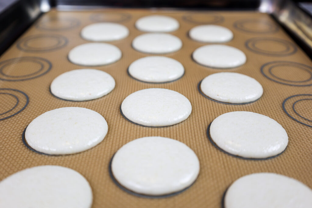 白色香草macaron壳的图象