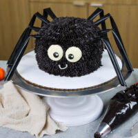 这是一个为万圣节制作的可爱又简单的蜘蛛蛋糕