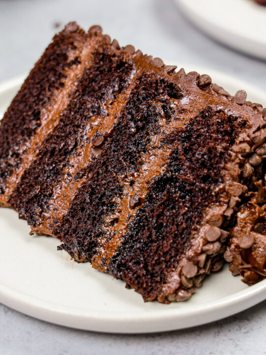 图像一片死亡的巧克力蛋糕用潮湿的巧克力蛋糕层,颓废的黑巧克力奶油乳酪,涂以迷你巧克力在盘子里