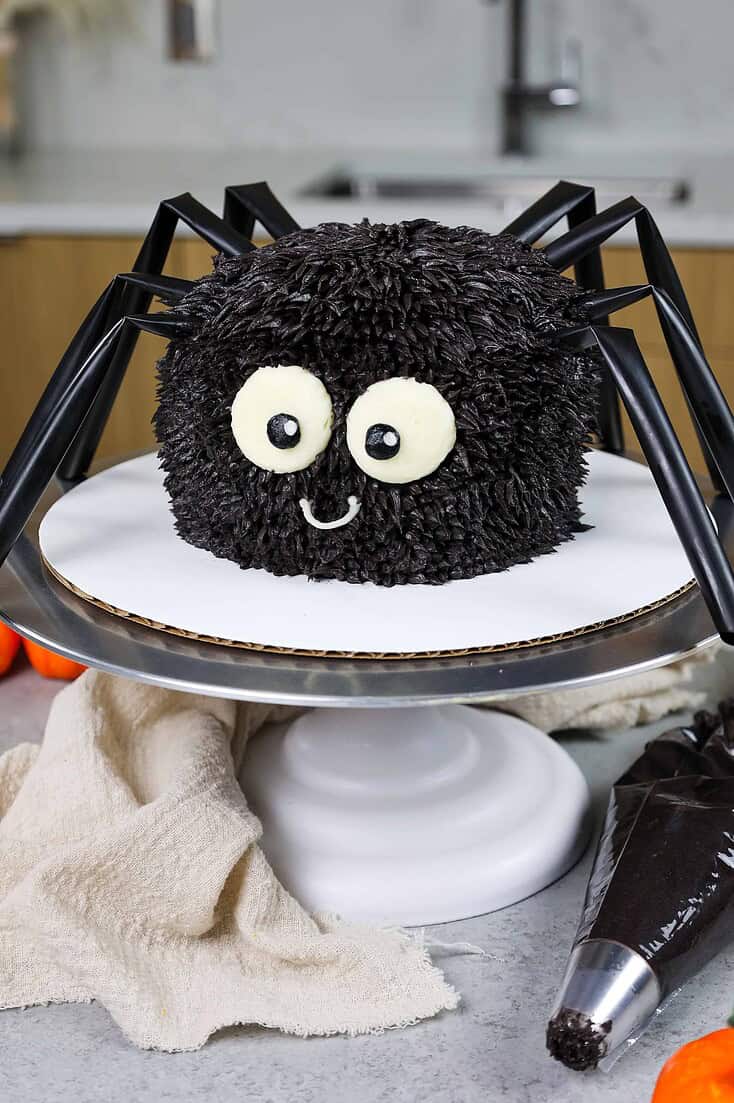 万圣节的形象可爱的蜘蛛蛋糕用巧克力蛋糕层和巧克力奶油乳酪