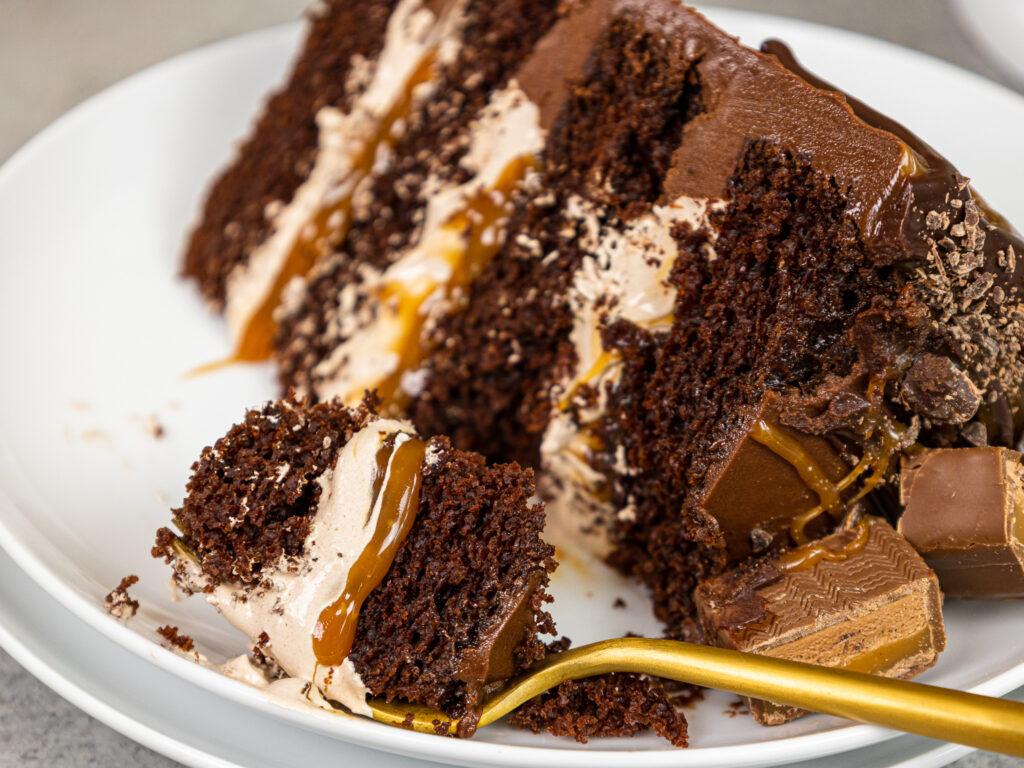 的形象一片银河蛋糕用松软的巧克力馅,自制的焦糖,和潮湿的巧克力蛋糕层