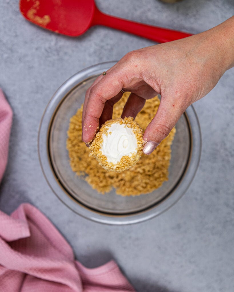 的形象没有烤芝士蛋糕咬被点缀着融化的巧克力