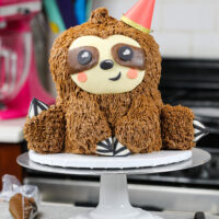 用巧克力蛋糕层和巧克力花生酱制成的懒惰生日蛋糕的图像