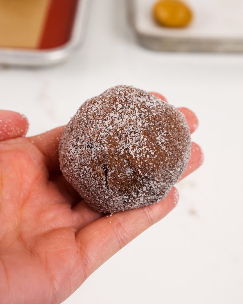 形象的巧克力花生酱饼干塞滚砂糖和准备烤