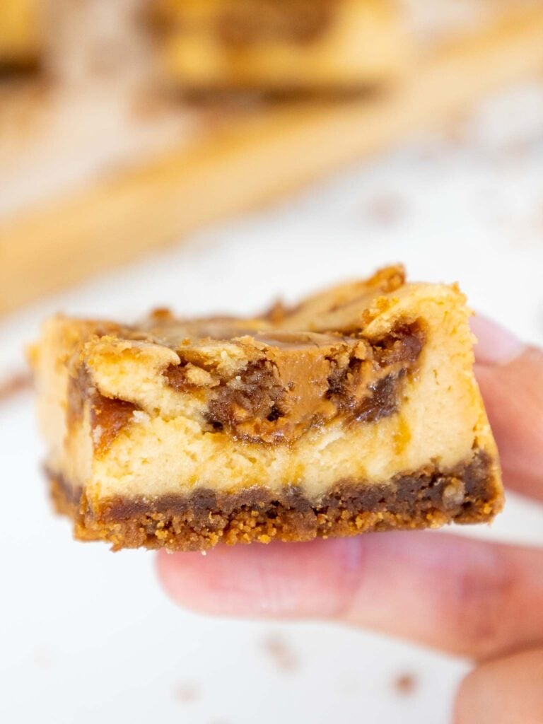 biscoff芝士蛋糕广场举行的形象表现出来的横截面